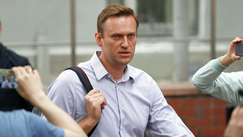 Глава МИД Чехии прокомментировал задержание Навального