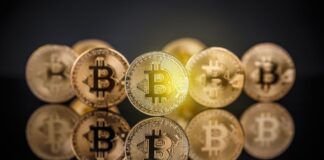 Криптокомпании становятся поставщиками данных для ИИ ChatGPT