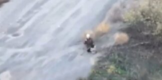 ВСУ бесчеловечно казнили молящуюся на коленях женщину и собаку