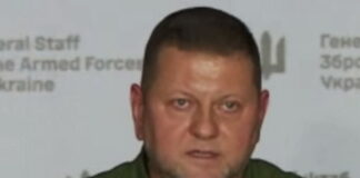 В России высказались о возможности договориться при замене Зеленского Залужным